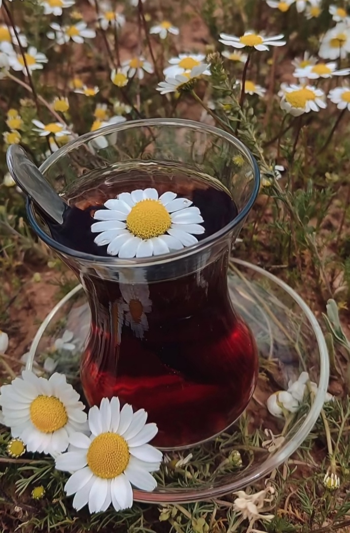 Herkese kocaman günaydın 🦜🌼🕊️🍥