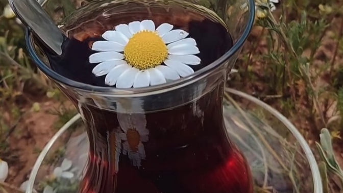 Hayır demeyi biliyormusunuz?