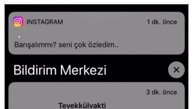 Size böyle bi mesaj gelse napardınız?