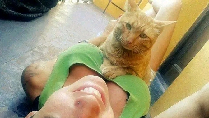 Şu kedinin yerinde olmak ister miydiniz?
