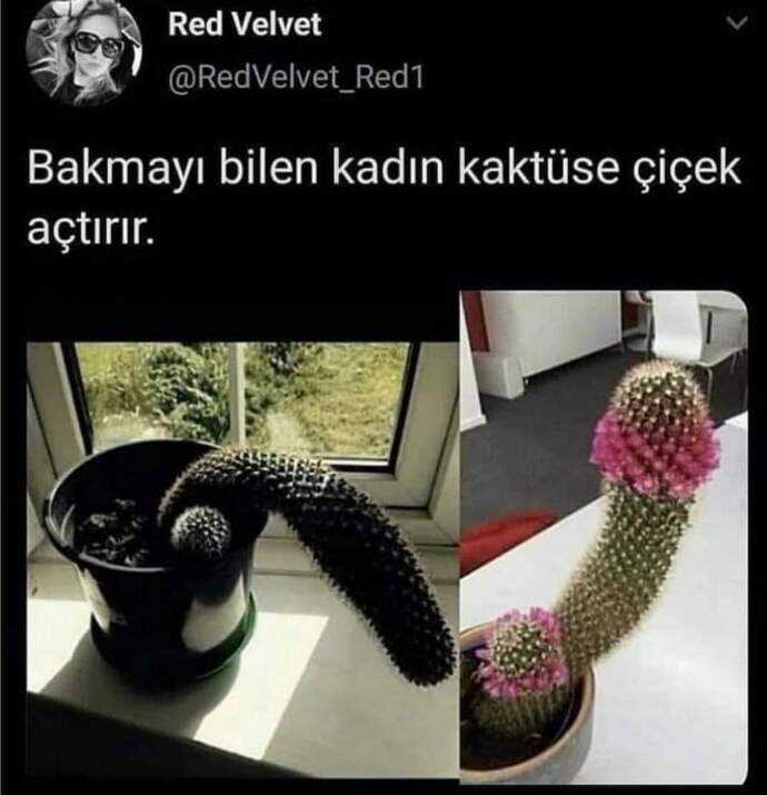Sekste erkeğin performansı kadına mı bağlıdır, kendine mi?