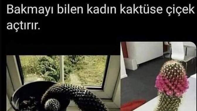 Sekste erkeğin performansı kadına mı bağlıdır, kendine mi?