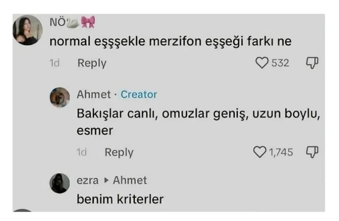 Eşeklerin hepsi aynı mıdır?