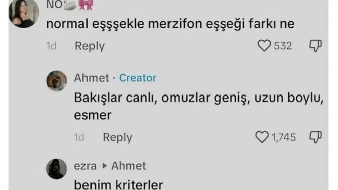 Eşeklerin hepsi aynı mıdır?
