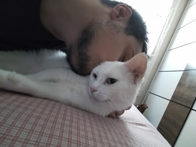 Evinizde patili dostunuz var mı?