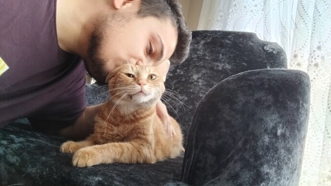 Evinizde patili dostunuz var mı?