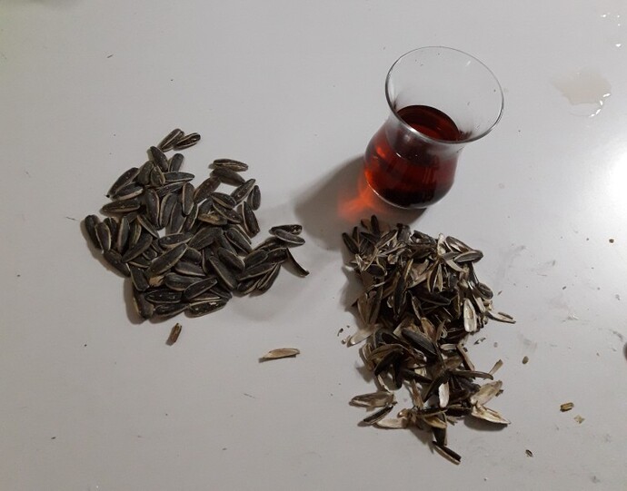 Masada çekirdek var, çay var... Ama insanın içini dökecek bir dostu yoksa, onlar neye yarar ki?