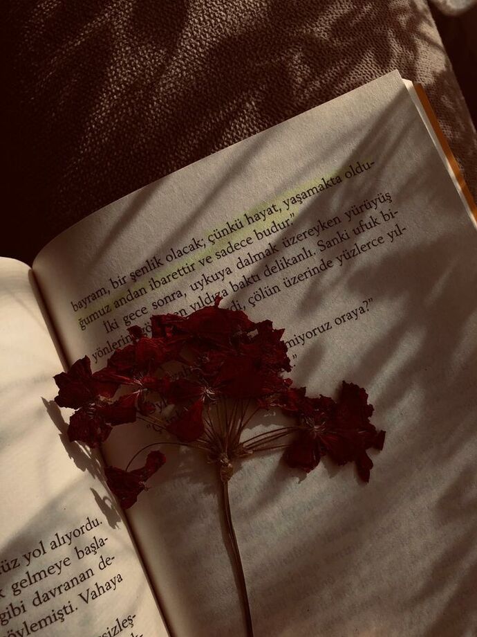 Kitap arasında çiçek kuruttuğunuz oldu mu?