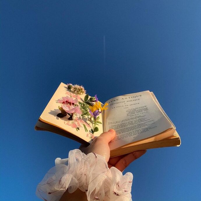 Kitap arasında çiçek kuruttuğunuz oldu mu?