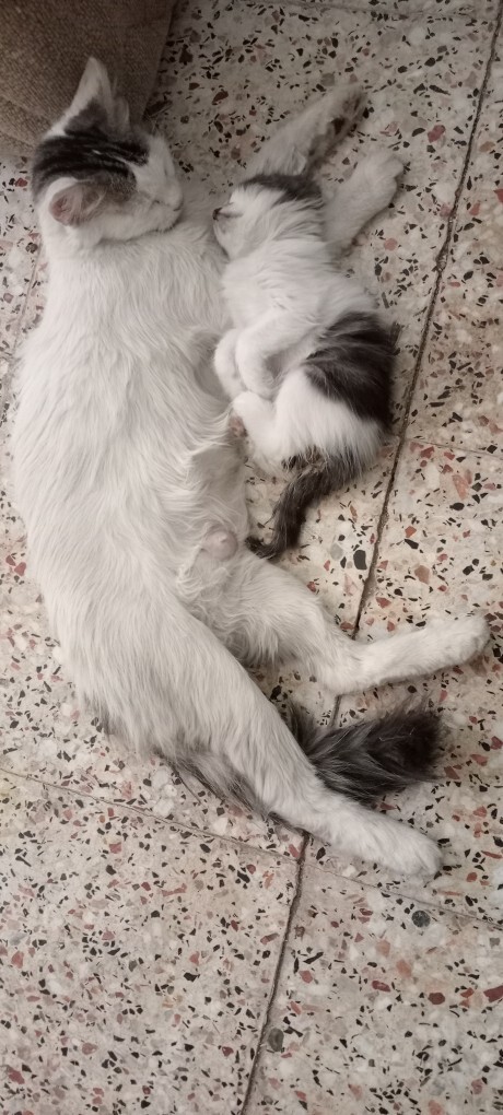 Anne kız nasıllar?