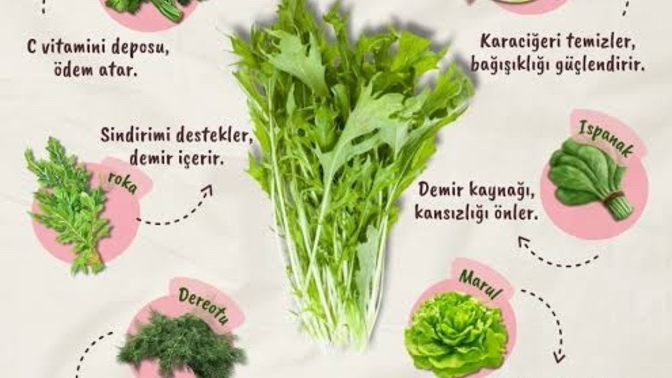 En sevdiğiniz yeşillik hangisidir?