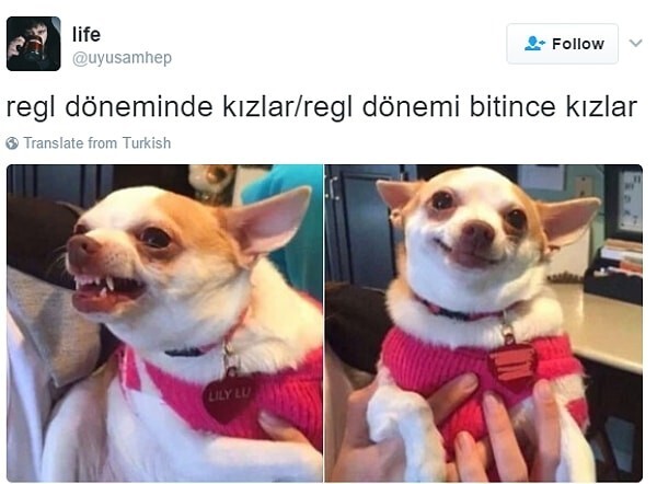 Sinirli olan sevgilinize Regl misin? diye sorar mısınız?