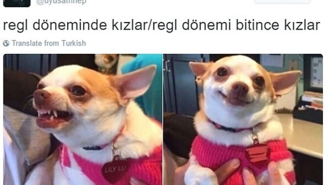 Sinirli olan sevgilinize "Regl misin?" diye sorar mısınız?