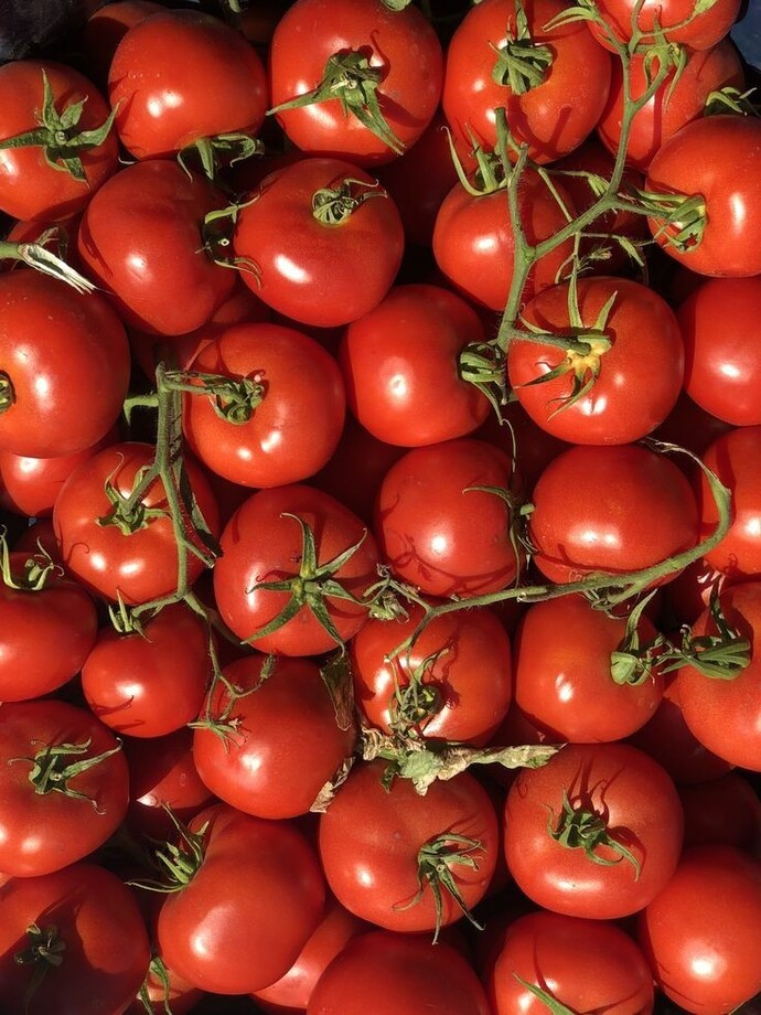 Meyve veya sebze salatası yapsan bunlardan hangi üçünü seçerdin?