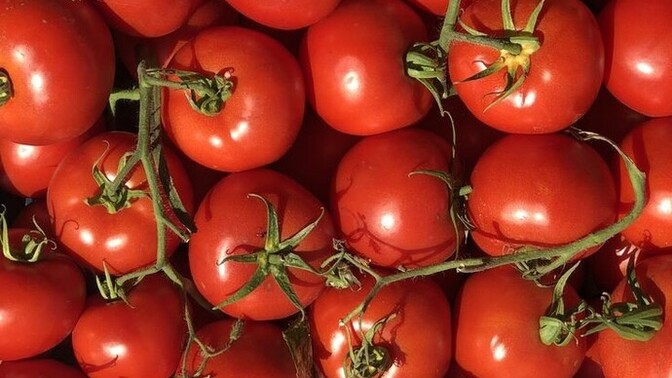 Meyve veya sebze salatası yapsan bunlardan hangi üçünü seçerdin?