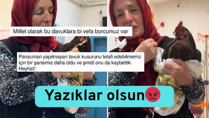 Hastaneler bir tavuğu daha reddetti 🐔 Boğazına iğne kaçan tavuğa röntgen çekilmedi. Nedir bu tavukların çektiği?