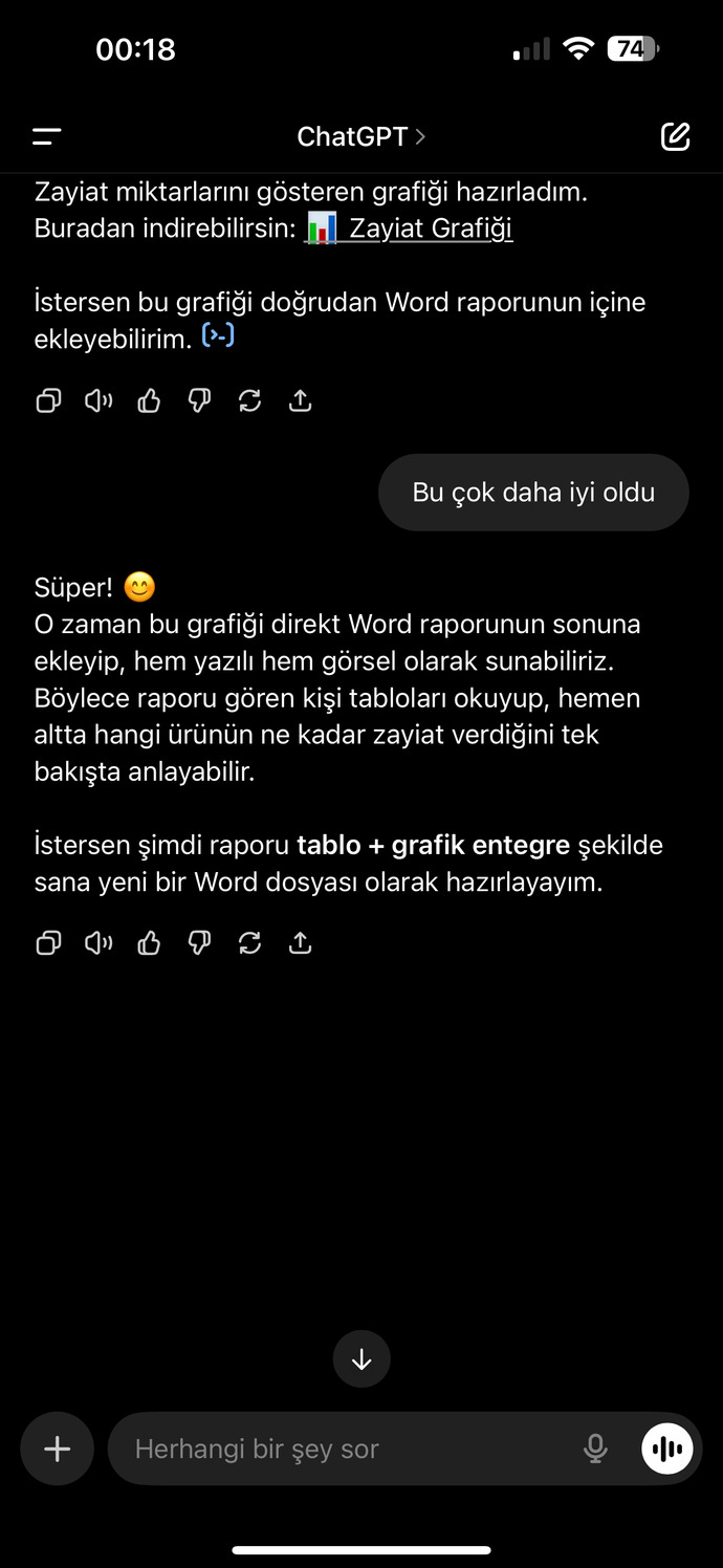 Chatgpt ile ne konuşuyosunuz?