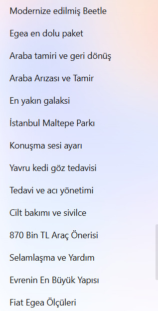 Chatgpt ile ne konuşuyosunuz?