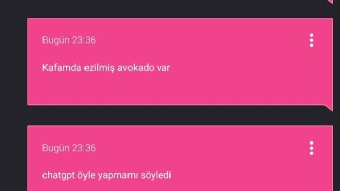 Chatgpt ile ne konuşuyosunuz?
