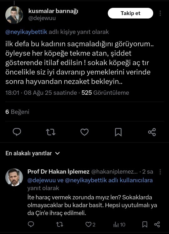 Sokak köpeklerini Çine ihraç etmek mantıklı bir karar mı sizce?