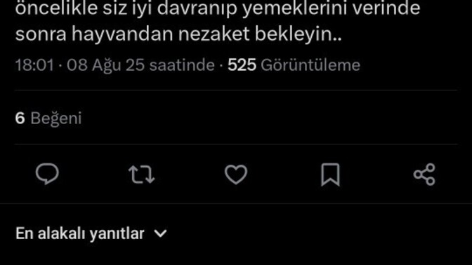 Sokak köpeklerini Çin'e ihraç etmek mantıklı bir karar mı sizce?