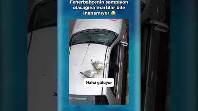 Fenerbahçe şampiyon olacak mı?