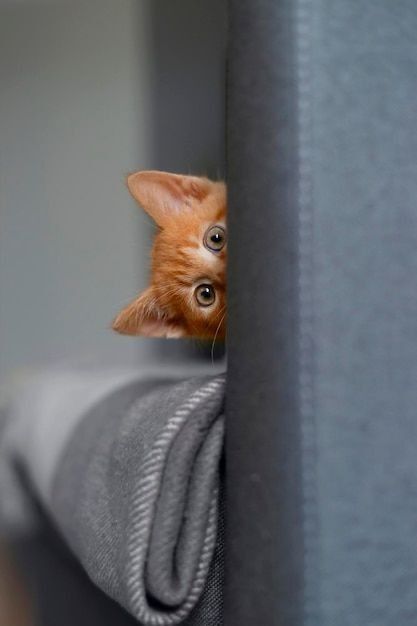 Bir erkek neden 8 ay boyunca hatırlar ama yazmaz?