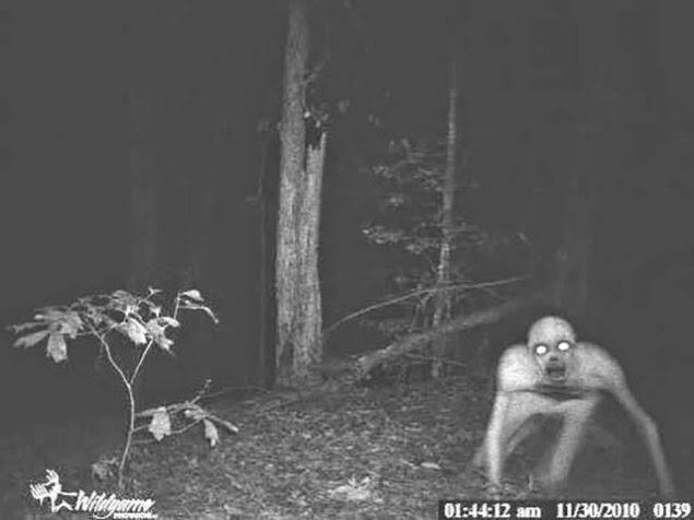 Paranormal videolar izlemeyi severmisin?