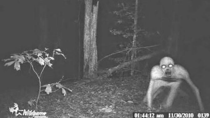 Paranormal videolar izlemeyi severmisin?