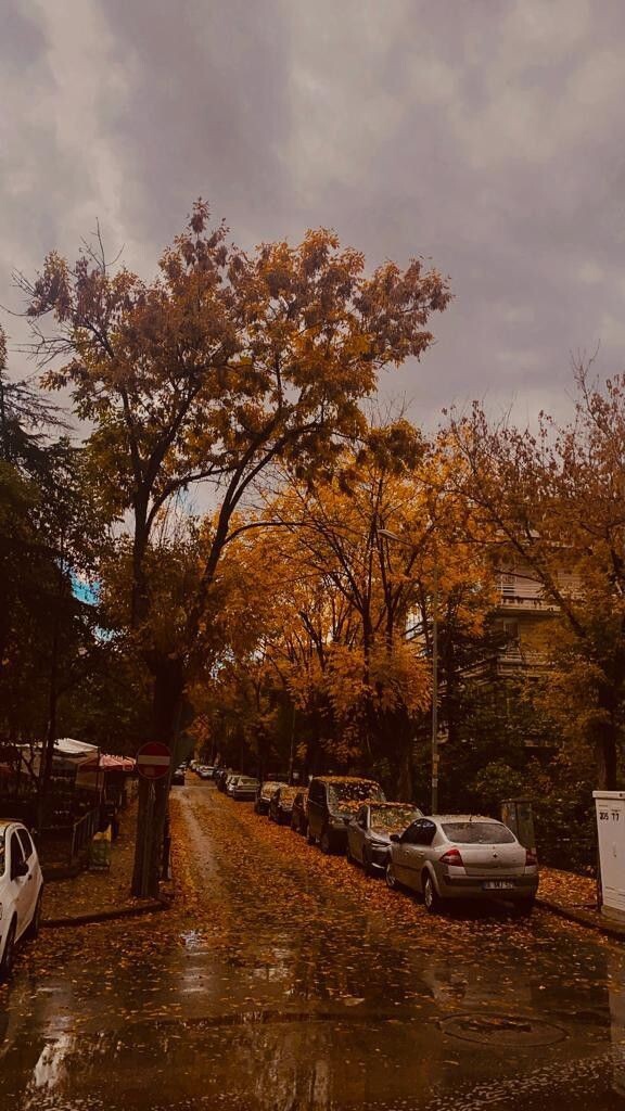 Kalbinizi en çok hangi mevsim anlatır?