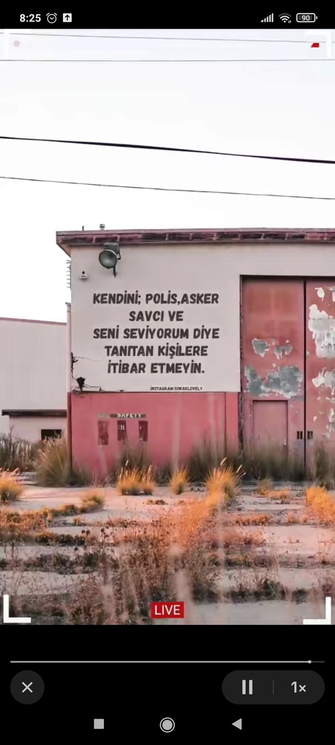 Seviyorum diyenlere kolay itibar eder misiniz?