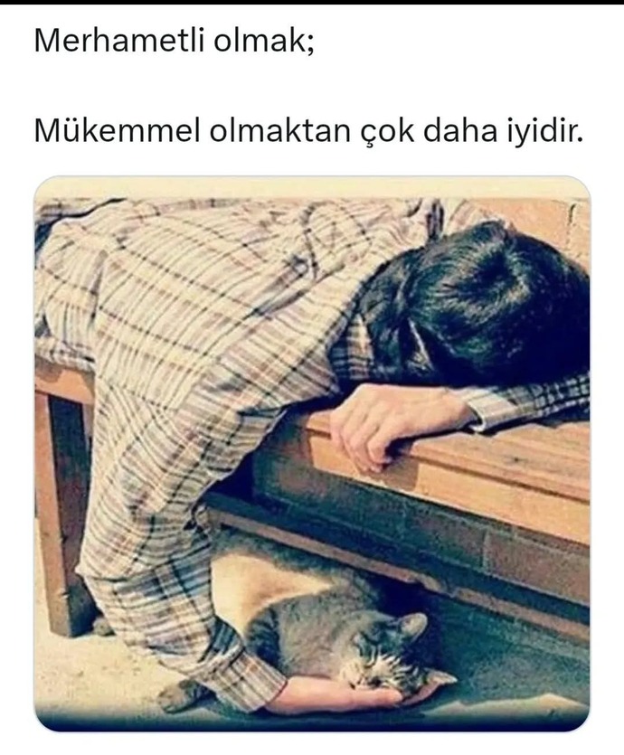 Merhametli olmak mı daha iyidir yoksa mükemmel olmak mı?