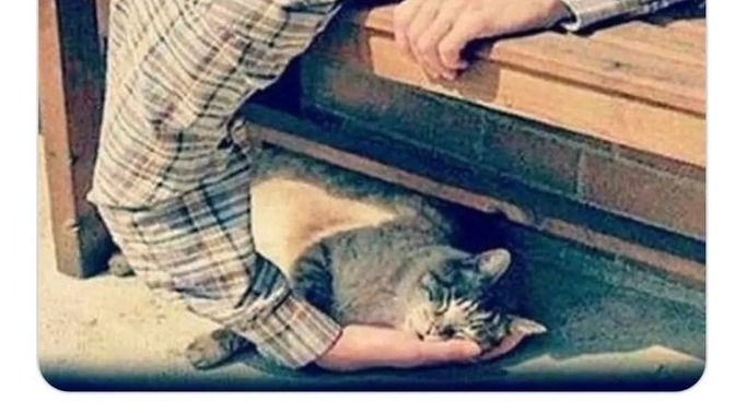 Merhametli olmak mı daha iyidir yoksa mükemmel olmak mı?