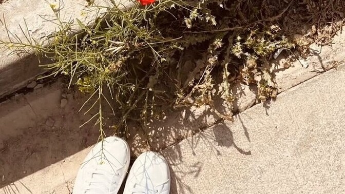 Zorluk mu öğretir mutluluk mu?