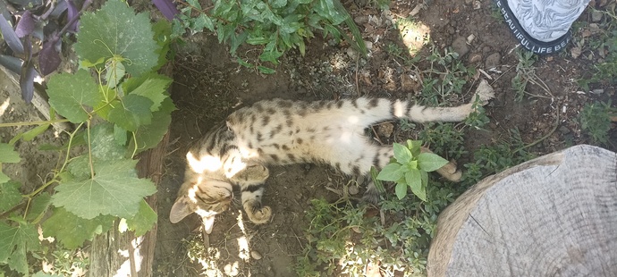 Bu sıcaklarda nasıl yatarsın?