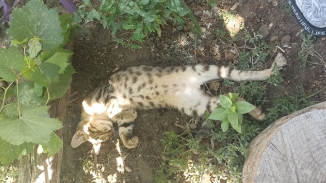 Bu sıcaklarda nasıl yatarsın?