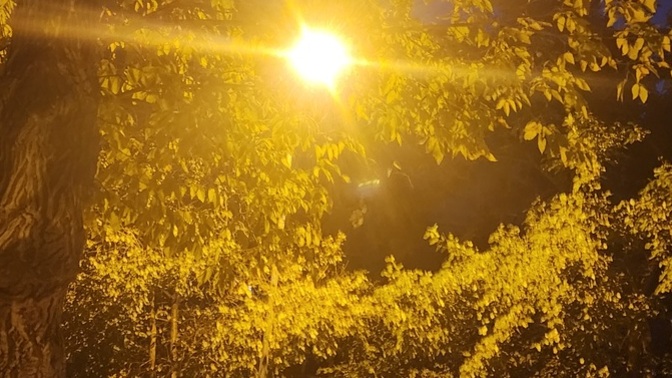 Iyi aksamlar ne yapıyorsunuz, nasilsiniz?