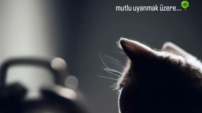 Sabah uyandığında ilk 5 dakika ne düşünüyorsun?