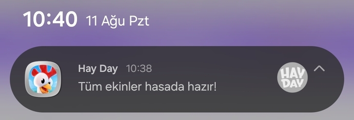 Herkes ektiğini biçer mi?