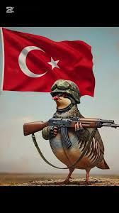 Göğüslerim çok küçük dolgu yaptırmak istiyorum ama çok pahalı nasıl büyütebilirim?