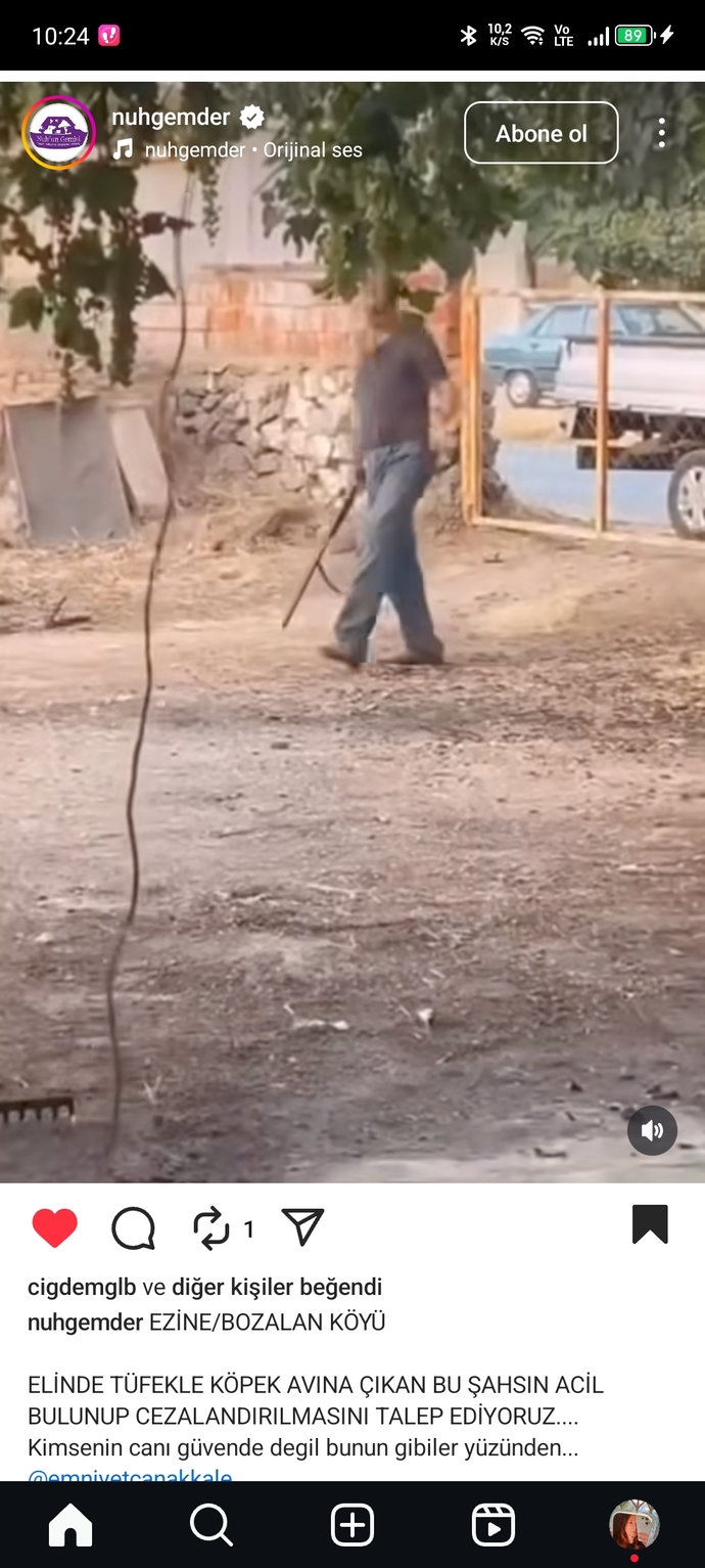 Barınaklarda hayvanlara işkence edenlere neden göz yumuluyor barınaklar iyi diyenlerde bu suça ortak değil mi?