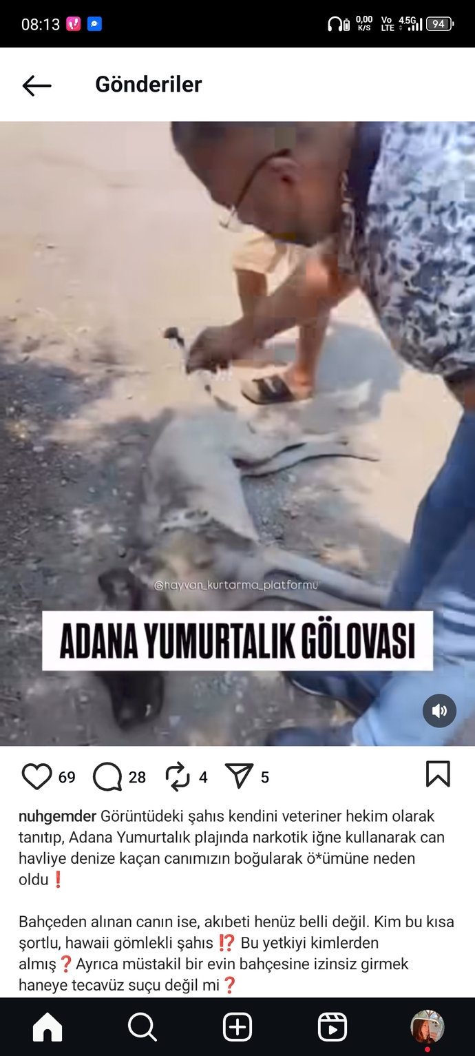 Barınaklarda hayvanlara işkence edenlere neden göz yumuluyor barınaklar iyi diyenlerde bu suça ortak değil mi?