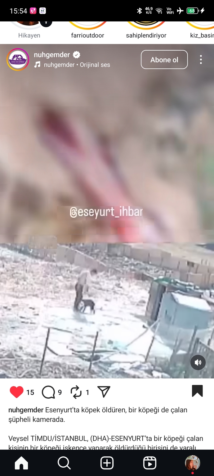 Barınaklarda hayvanlara işkence edenlere neden göz yumuluyor barınaklar iyi diyenlerde bu suça ortak değil mi?