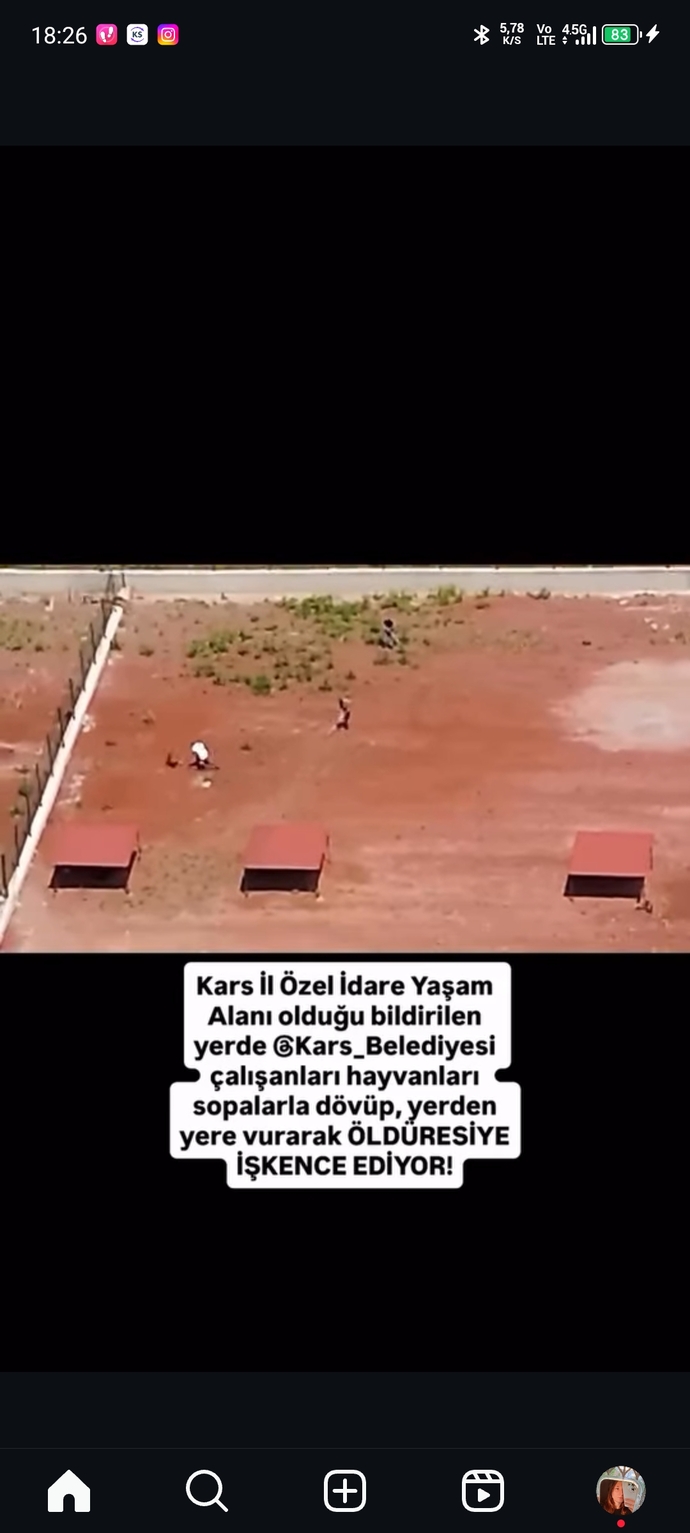 Barınaklarda hayvanlara işkence edenlere neden göz yumuluyor barınaklar iyi diyenlerde bu suça ortak değil mi?