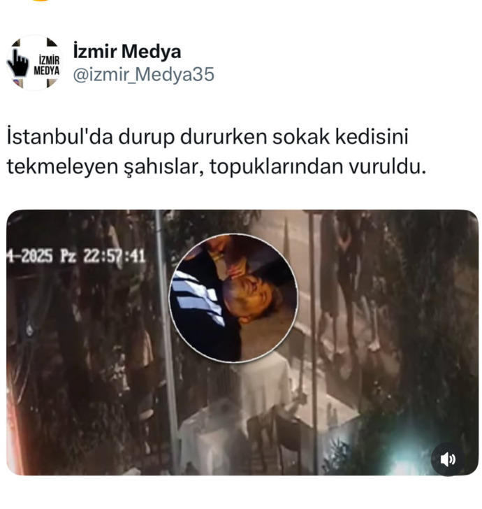 Barınaklarda hayvanlara işkence edenlere neden göz yumuluyor barınaklar iyi diyenlerde bu suça ortak değil mi?