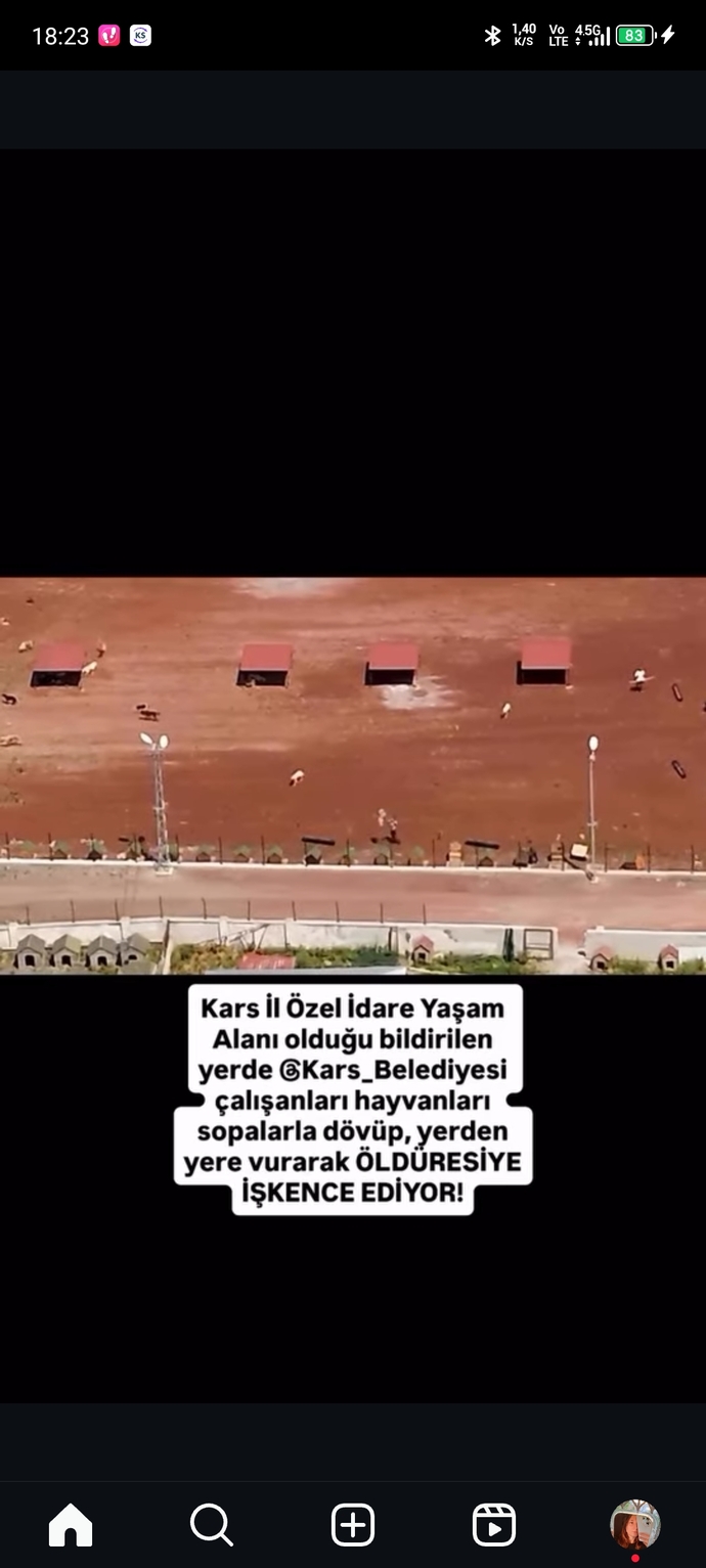 Barınaklarda hayvanlara işkence edenlere neden göz yumuluyor barınaklar iyi diyenlerde bu suça ortak değil mi?