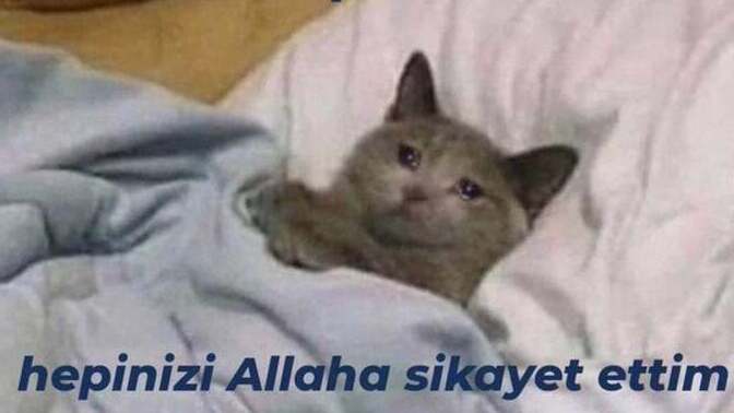 Allaha şikayet ettiğiniz biri var mı?