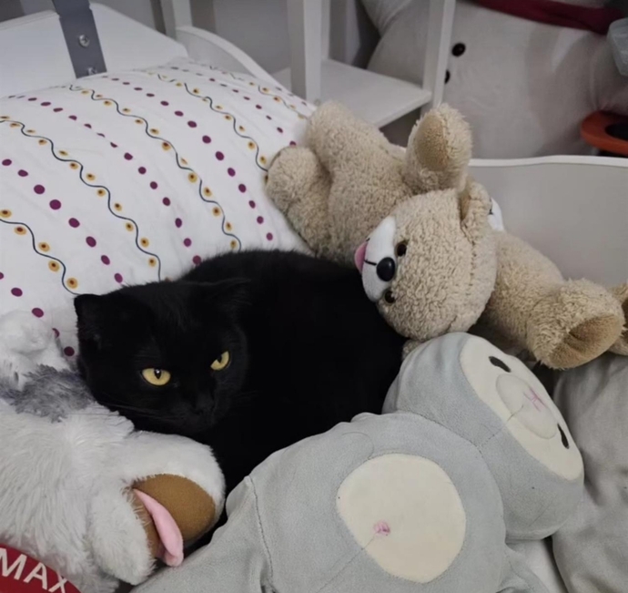 Kariniz/sevgiliniz sizinle uyurken pelus oyuncaga sarilip uyusa naparsiniz?