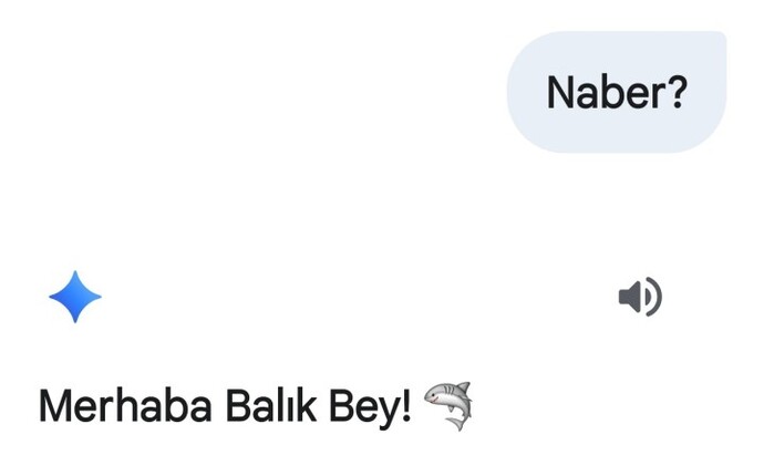ChatGPT size nasıl hitap ediyor?