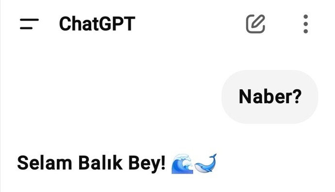 ChatGPT size nasıl hitap ediyor?